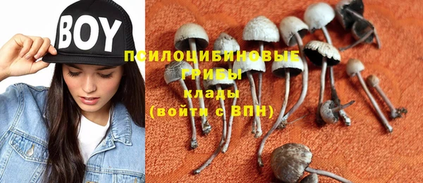 бошки Нефтекумск