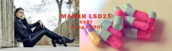 PSILOCYBIN Новокубанск