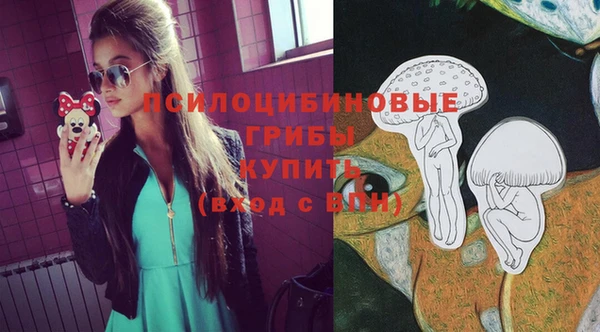 PSILOCYBIN Новокубанск