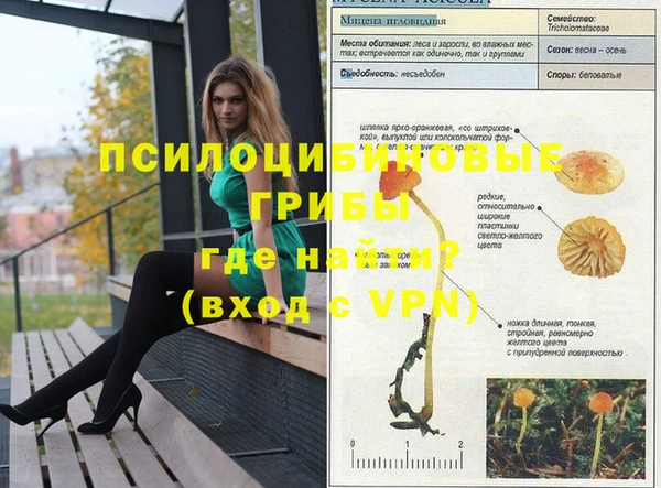 мдпв Новозыбков