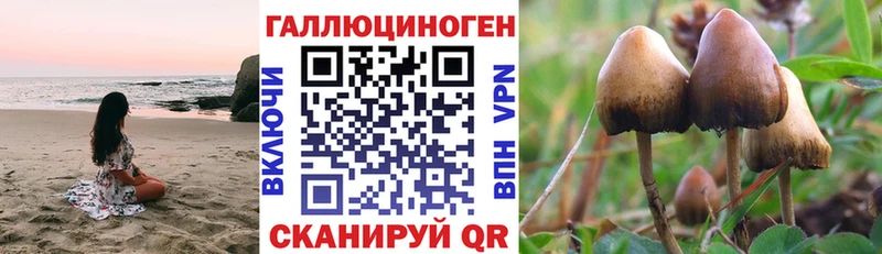 Псилоцибиновые грибы мицелий  закладка  Калининск 