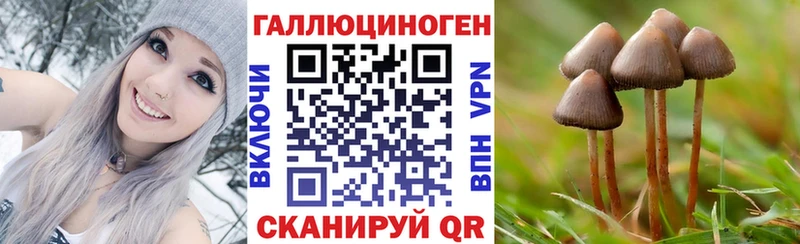 Галлюциногенные грибы Psilocybe Калининск