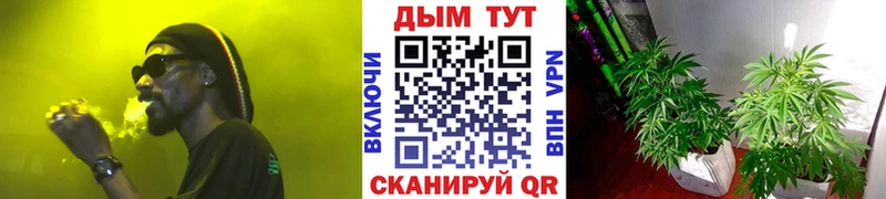 Канабис THC 21% MEGA зеркало Калининск